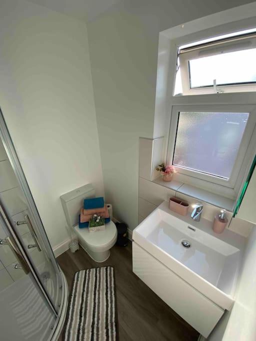 Lively Loft 30min To Londra